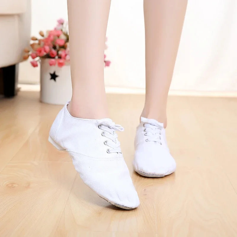 Men Shoes Red Bottom - Brand Desinger Canvas Jazz Shoes/Ballet Dance